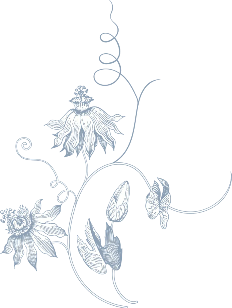Ornament