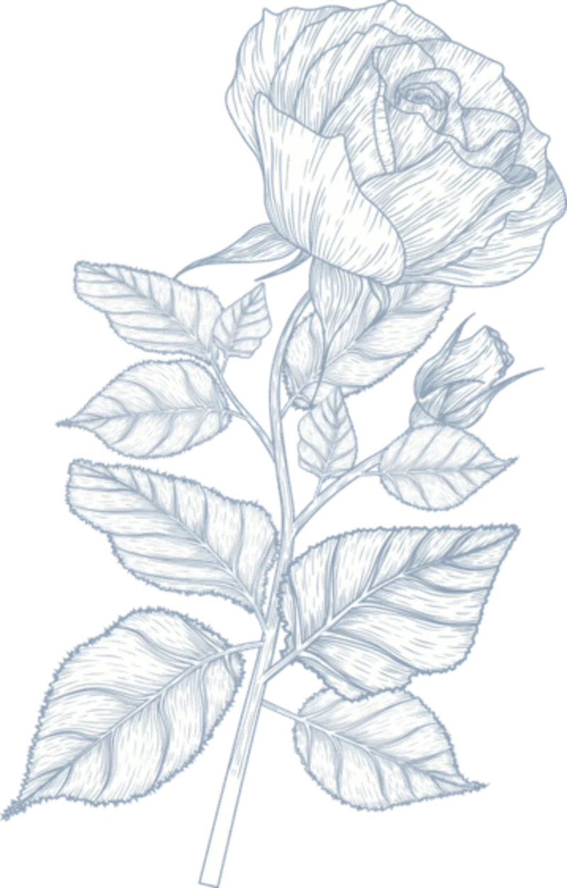 Ornament