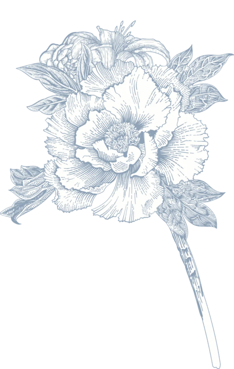 Ornament