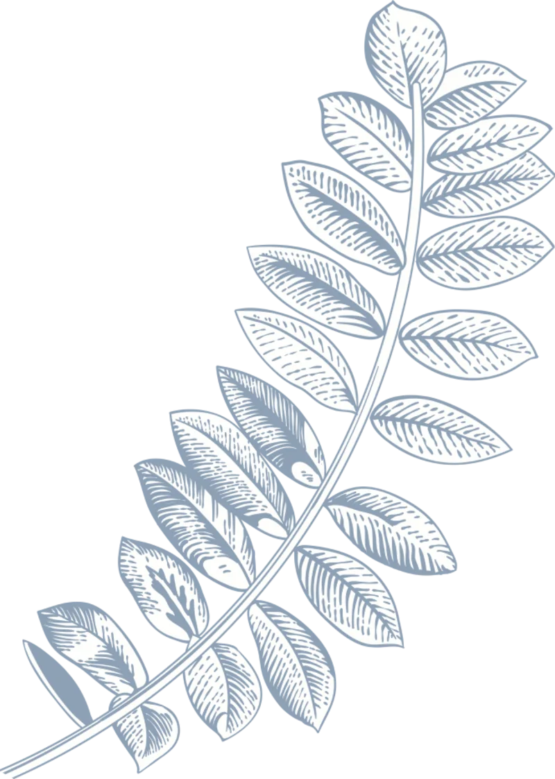 Ornament