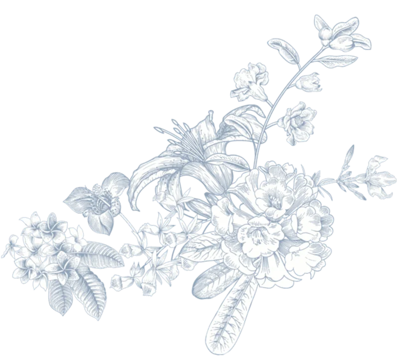 Ornament