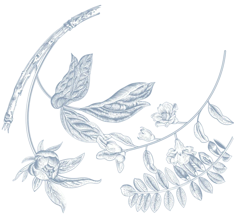 Ornament